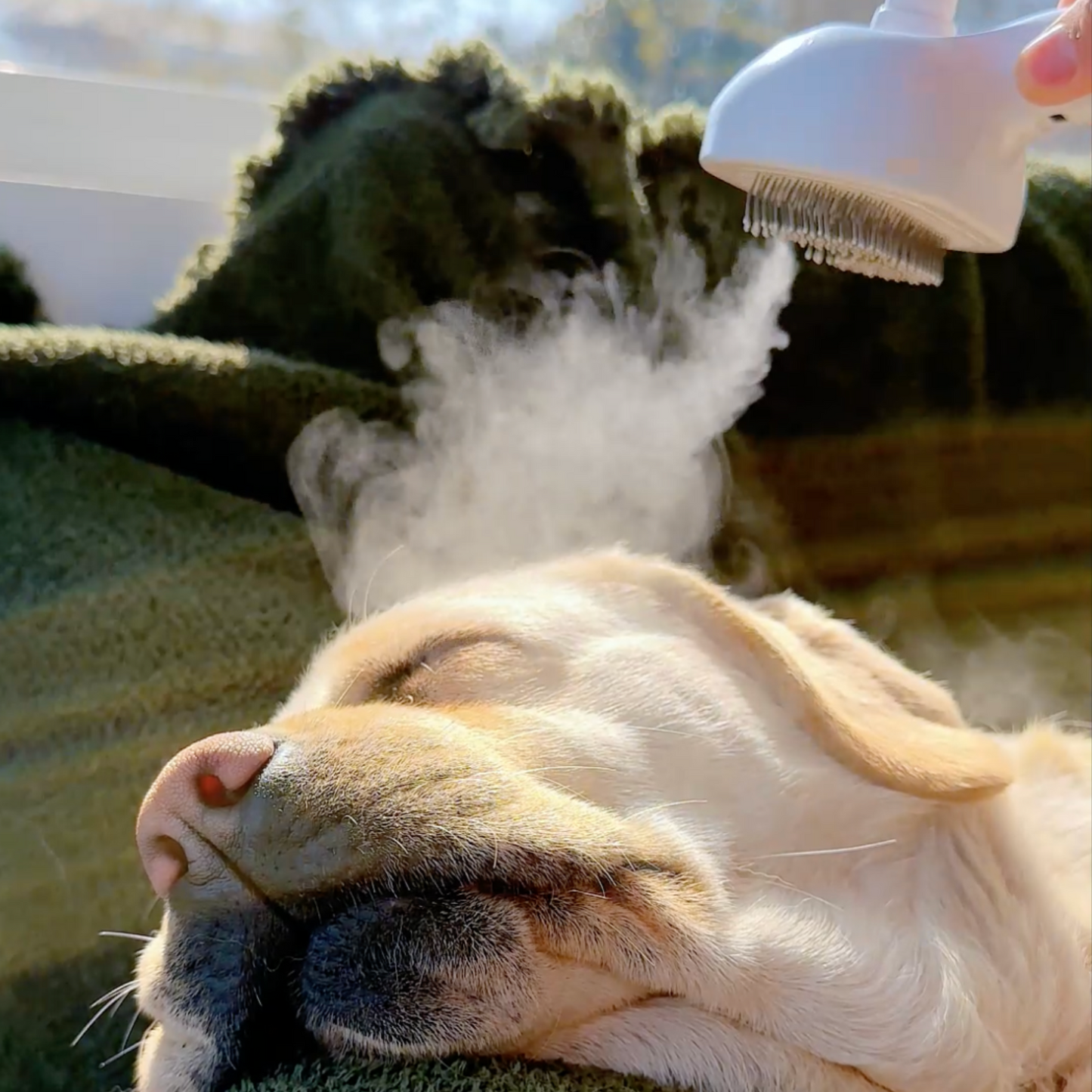 Chewie Viral Steam Brush