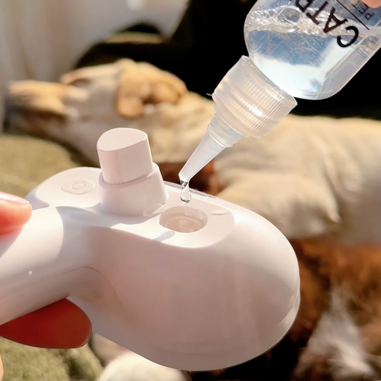 Chewie Viral Steam Brush