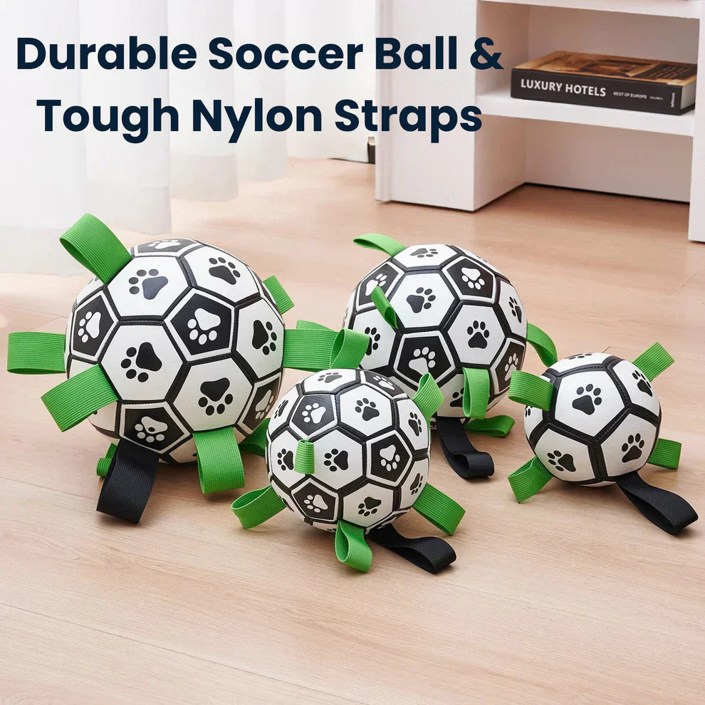 Finessor Viral Doggie Ball