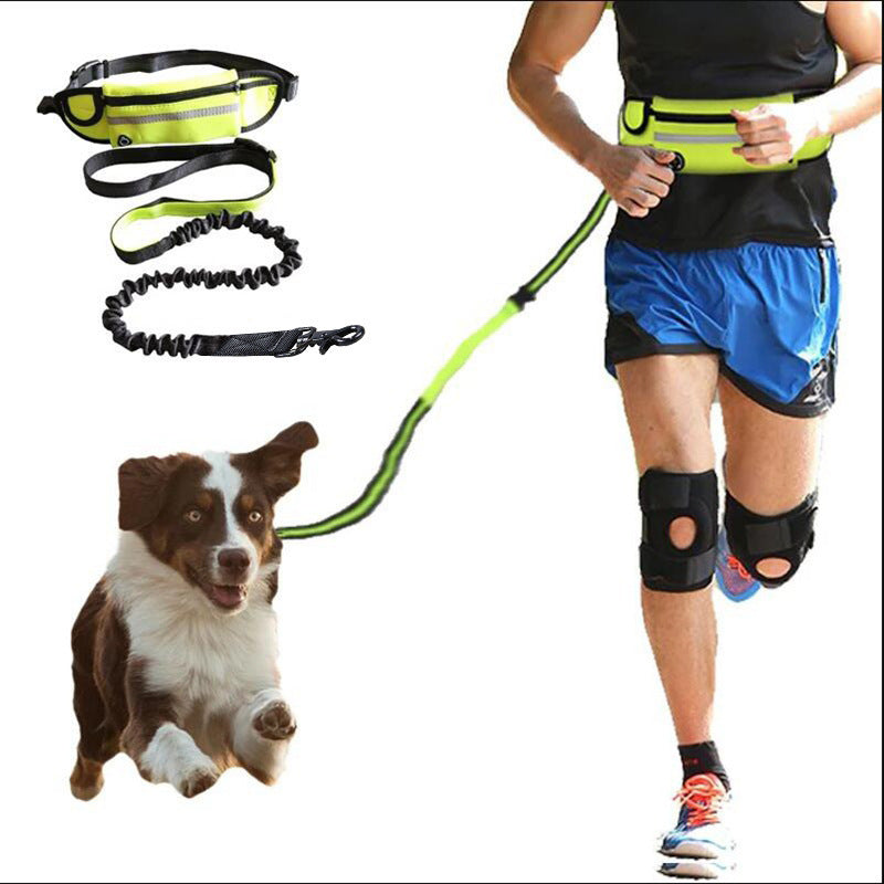Finessor TrailStride™ Hands-Free Leash