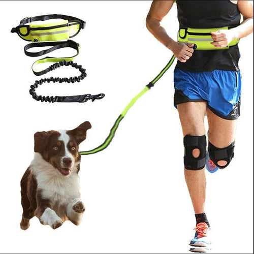 Finessor TrailStride™ Hands-Free Leash