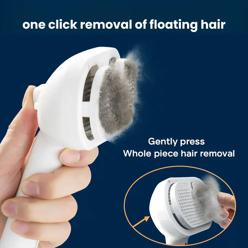 Finessor Viral Steam Brush