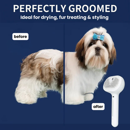 Finessor Viral Steam Brush