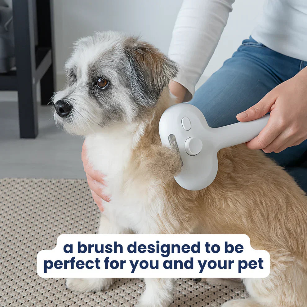 Finessor Viral Steam Brush