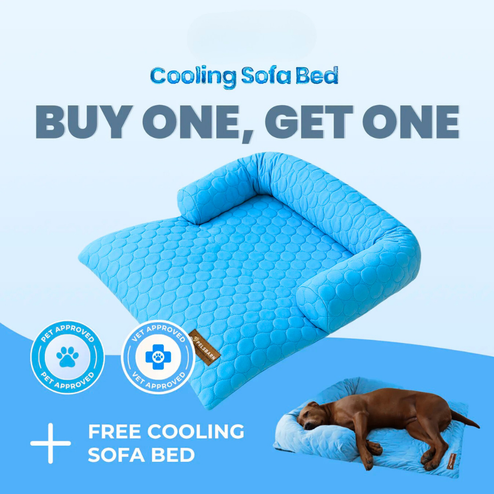 Cooling Dog Bed
