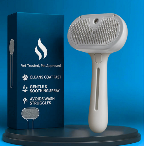 Finessor Viral Steam Brush